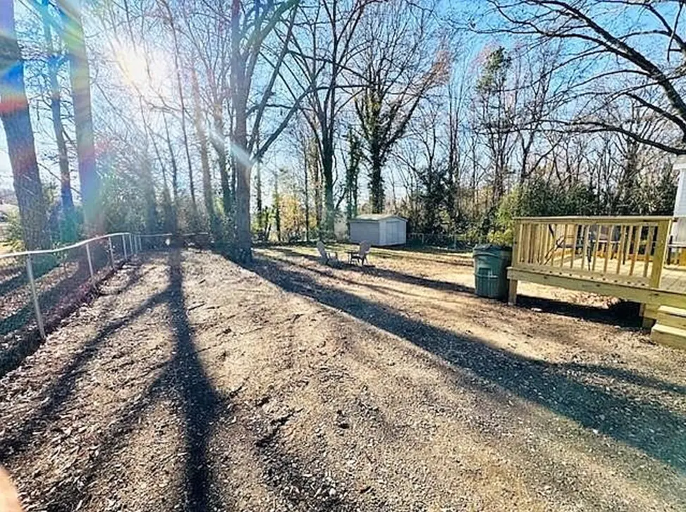 Backyard Renovation